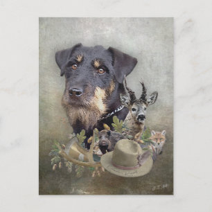 Postal Jagdterrier