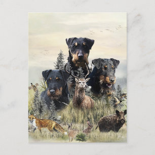 Postal Jagdterriers c. Renbrad Kennel