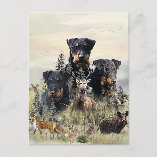 Postal Jagdterriers c. Renbrad Kennel (Anverso)