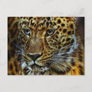 Postal Jaguar