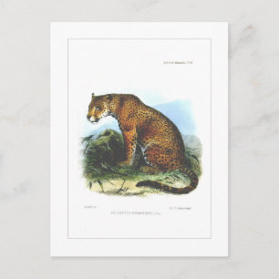 Postal Jaguar