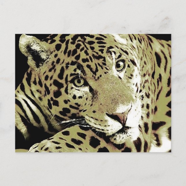 Postal Jaguar (Anverso)