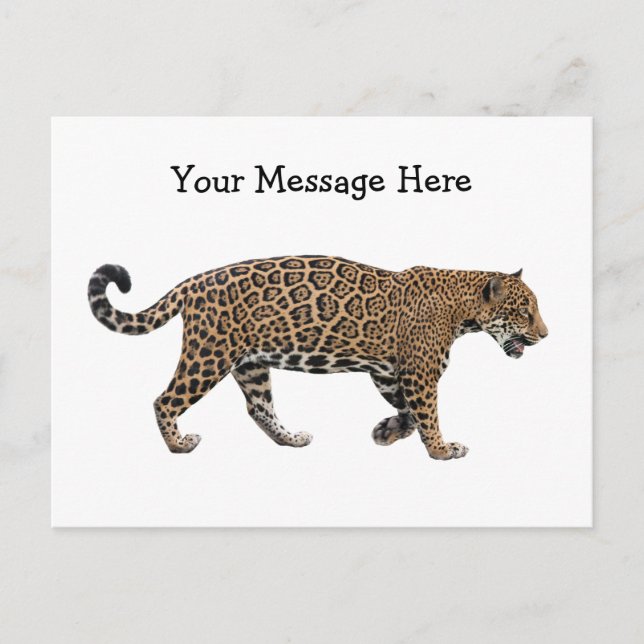 Postal Jaguar (Anverso)