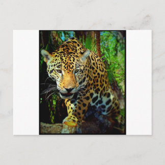 Postal Jaguar