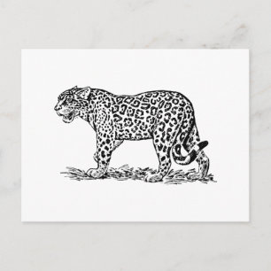 Postal Jaguar