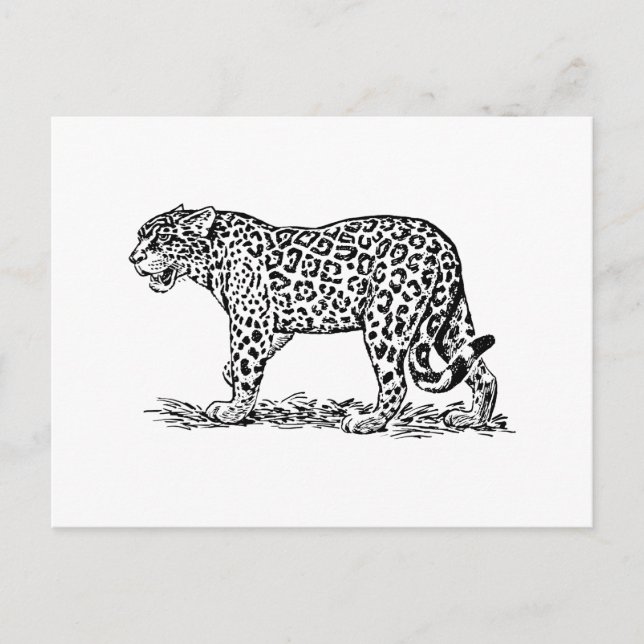 Postal Jaguar (Anverso)