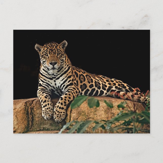 Postal Jaguar (Anverso)