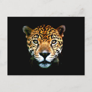 Postal Jaguar