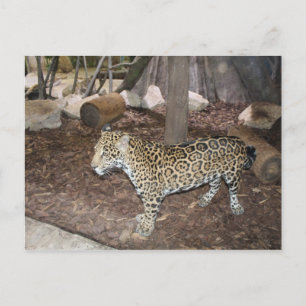 Postal Jaguar # 3