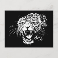 Jaguar blanco y negro