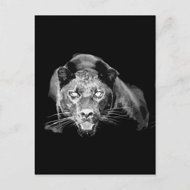 Postal Jaguar blanco y negro - Gatos salvajes (Anverso)