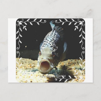 Postal Jaguar Cichlid