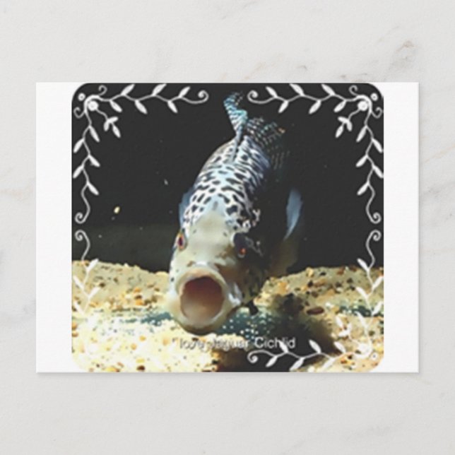 Postal Jaguar Cichlid (Anverso)