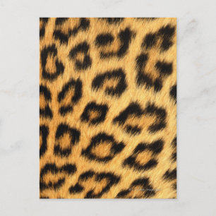 Postal Jaguar Fur