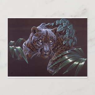 Postal Jaguar negro