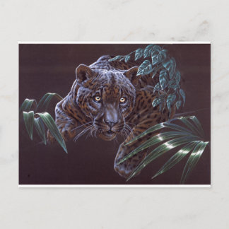 Postal Jaguar negro