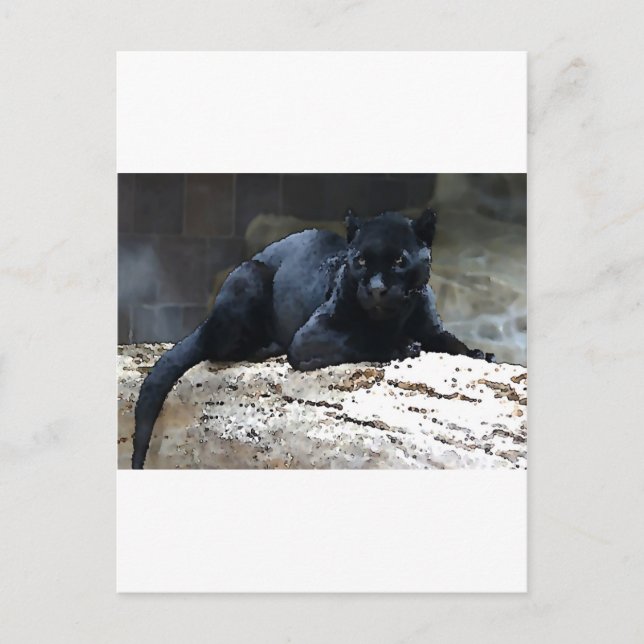 Postal Jaguar negro (Anverso)