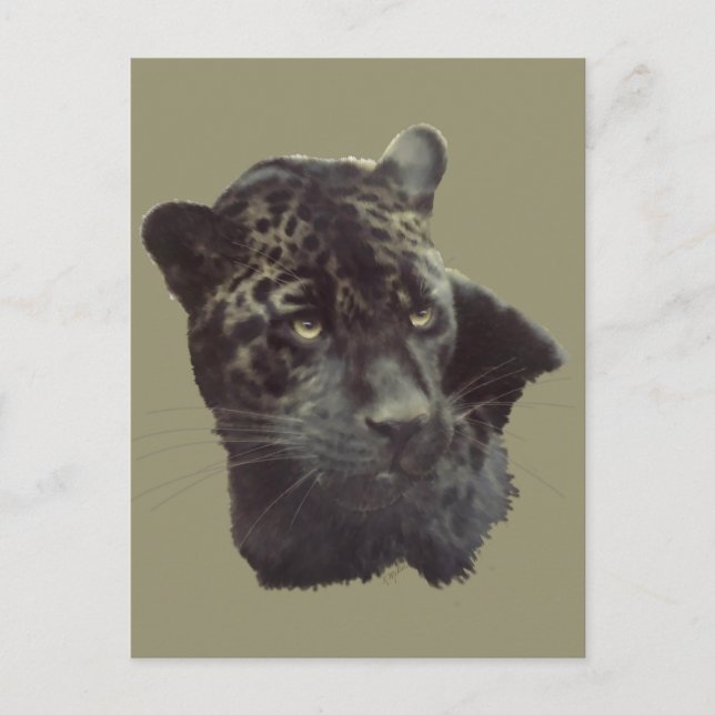 Postal Jaguar negro (Anverso)