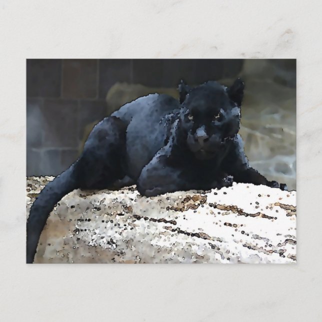 Postal Jaguar negro (Anverso)