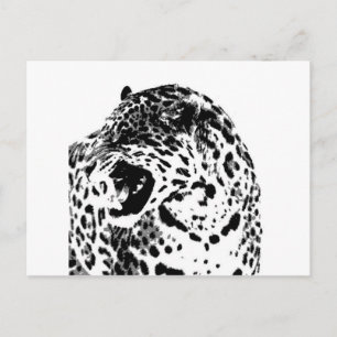 Postal Jaguar Roaring