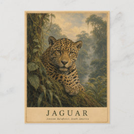 Postal Jaguar Selva Amazónica VINTAGE