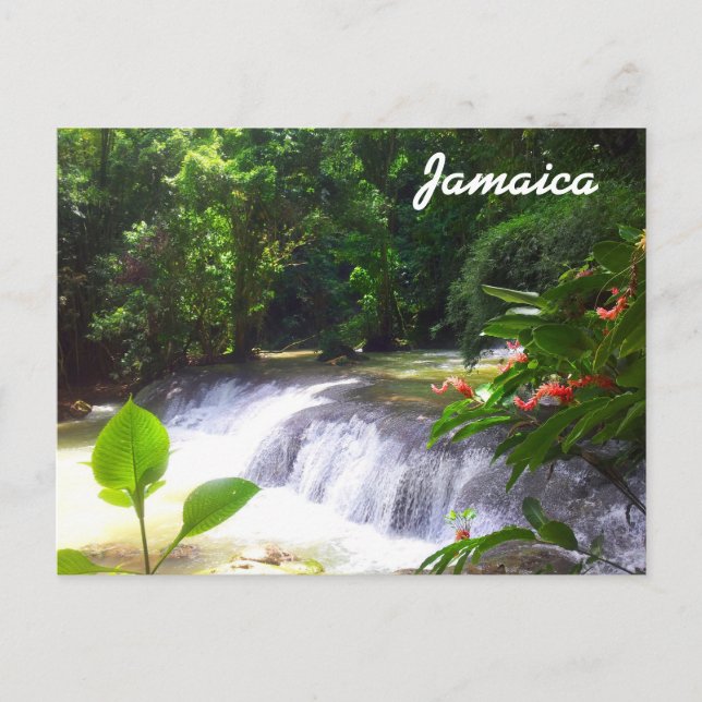 Postal Jamaica (Anverso)
