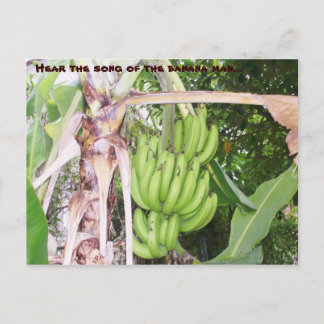 Postal jamaiquina para el hombre bananero