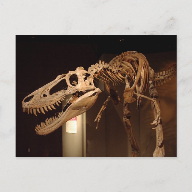 Postal Jane - Ver #6 (Anverso)