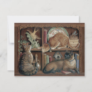 Postal Janet Kruskamp Gatos en la estantería Postcrossing