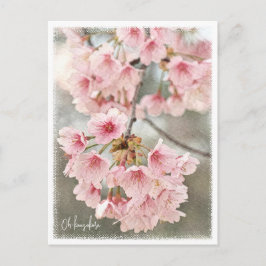 Postal Japanese Flowering Cherry