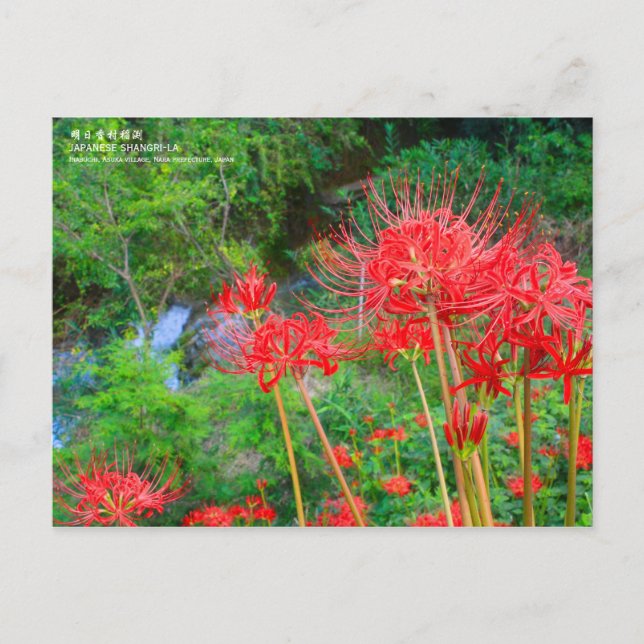 Postal JAPANESE SHANGRI-LA [Postcard] (Anverso)