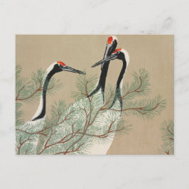 Postal Japanese woodblock-print Cranes - Kamisaka Sekka