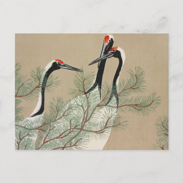 Postal Japanese woodblock-print Cranes - Kamisaka Sekka (Anverso)
