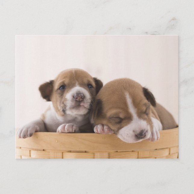 Postal Japón (Anverso)