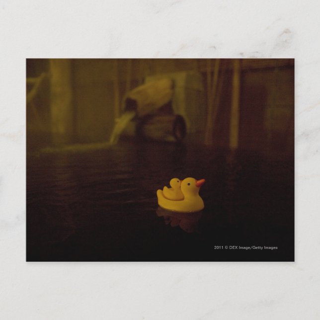 Postal Japón (Anverso)