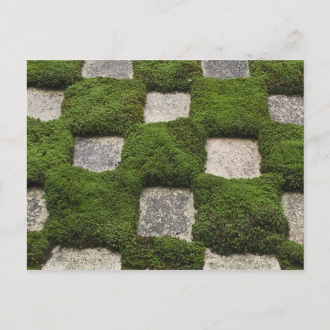 Postal Japón, Kioto, Templo Tofukuji, Jardín (Anverso)