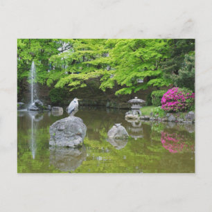 Postal Japón, Kyoto. Garza en hojas verdes frescas