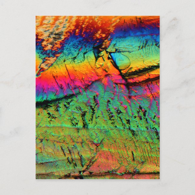Postal jarabe de arce bajo microscopio (Anverso)