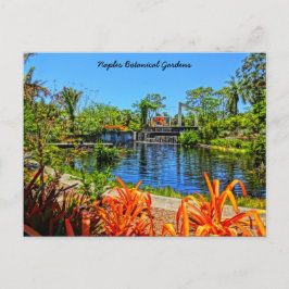 Postal Jardín Botánico de Nápoles Florida - Muro Mosaico