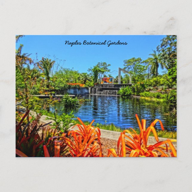 Postal Jardín Botánico de Nápoles Florida - Muro Mosaico (Anverso)