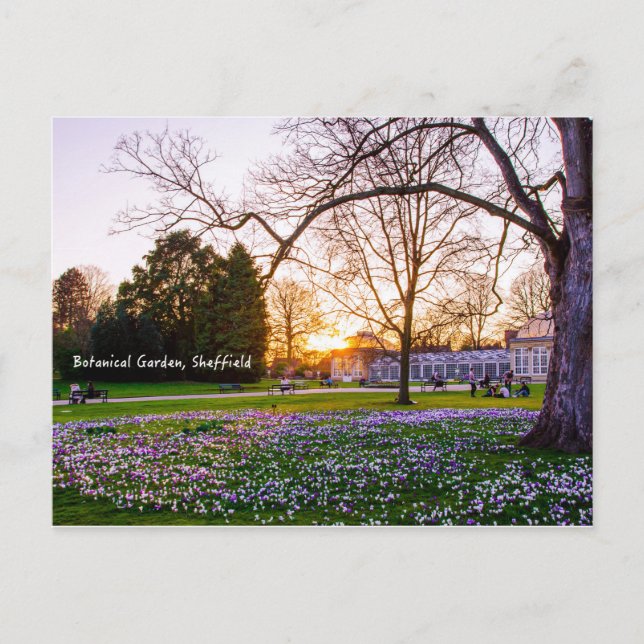 Postal Jardín Botánico de Sheffield (Anverso)