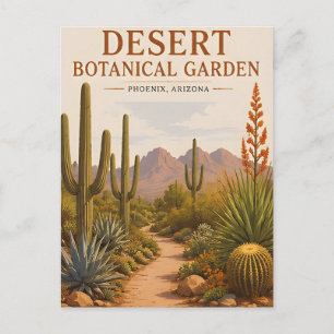 Postal Jardín Botánico del Desierto Paisaje de Cactus de
