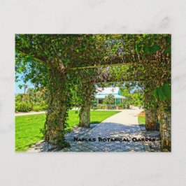 Postal Jardín Botánico Queen's Wreath Nápoles, Florida