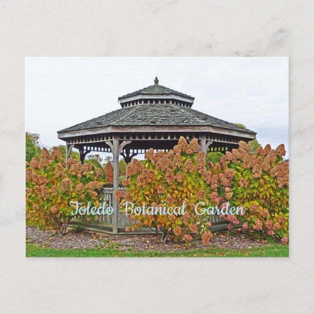 POSTAL JARDÍN BOTÁNICO TOLEDO GAZEBO CON HIDRANGEAS (Anverso)
