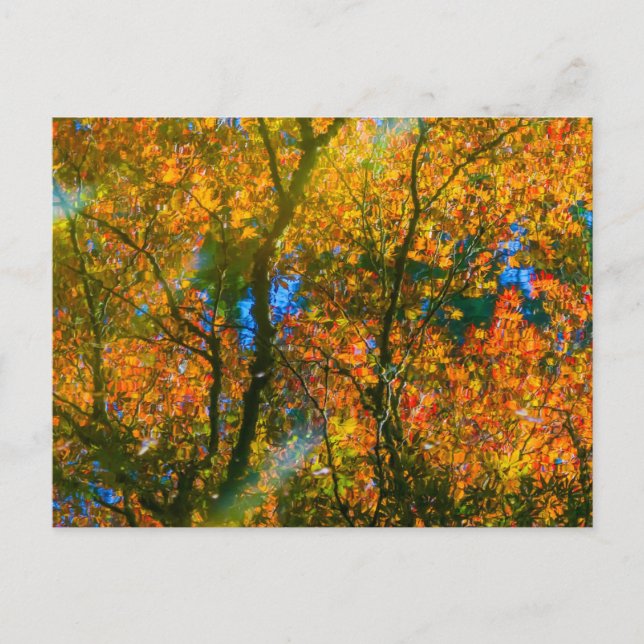 Postal Jardín Botánico VanDusen Vancouver, Canadá (Anverso)