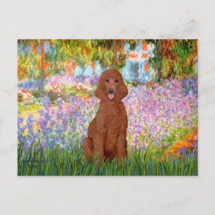 Postal Jardín - Caniche Rojo Oscuro #1