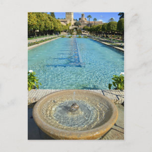Postal Jardín con características de agua tranquilas