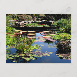 Postal Jardín de agua