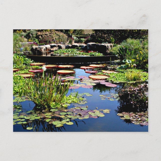 Postal Jardín de agua (Anverso)