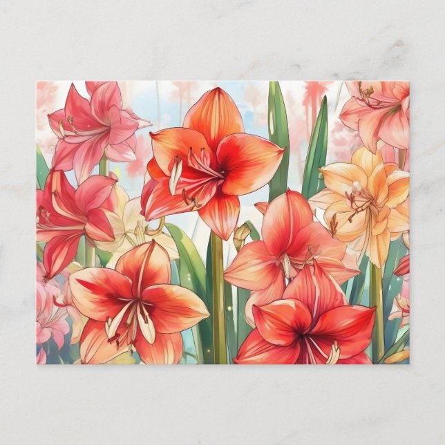 Postal Jardín de Amaryllis floral (Anverso)
